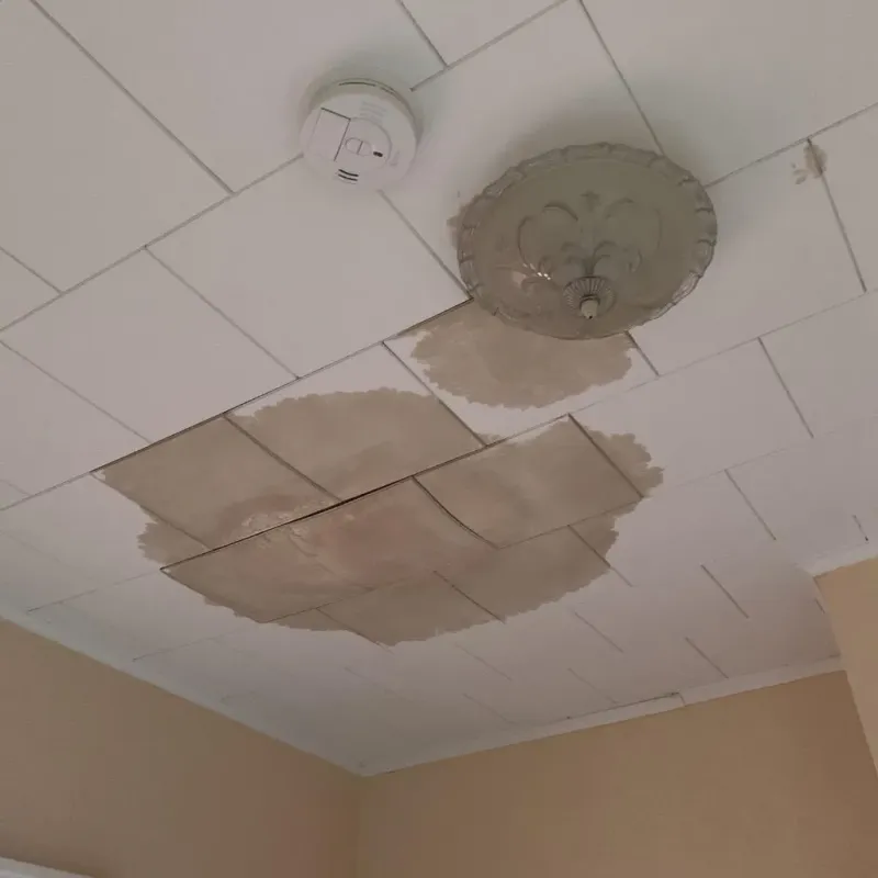 Ceiling Water Damage Repair in Haw River, NC