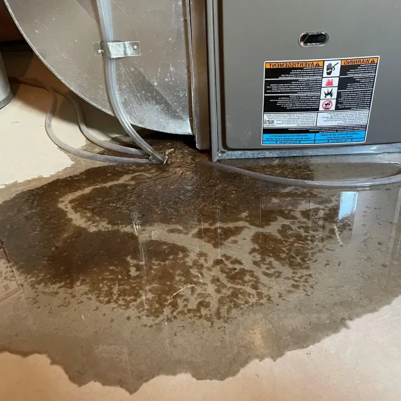 Pipe Burst and Leak Restoration in Haw River, NC