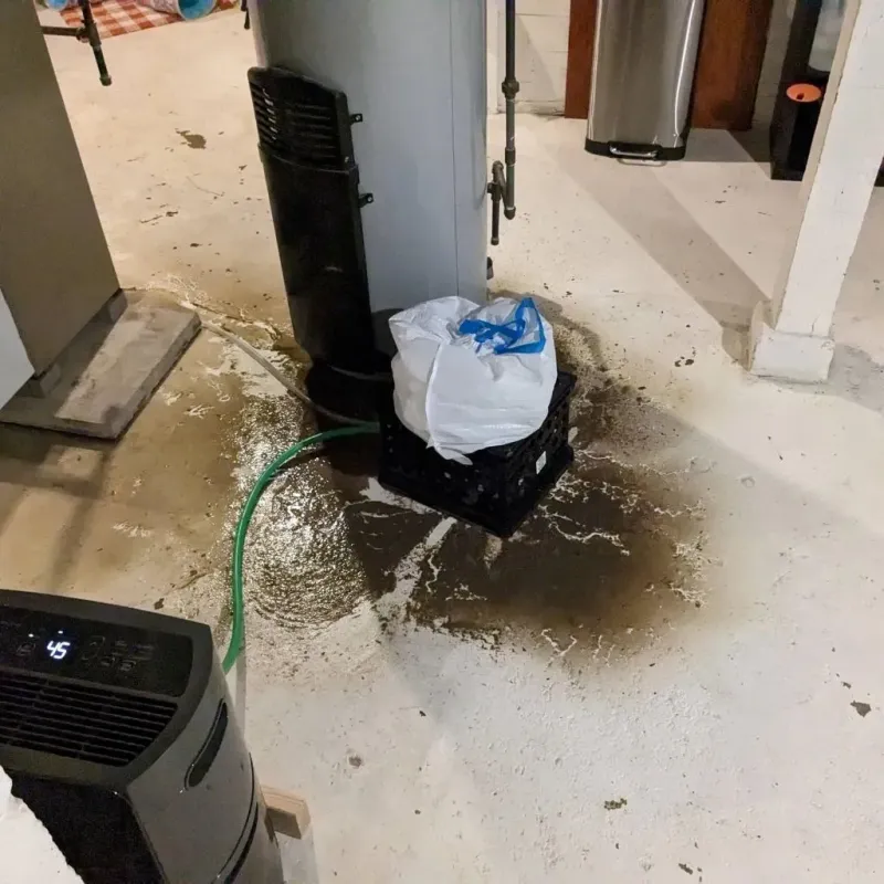 Sewage Backup Cleanup Service in Haw River, NC